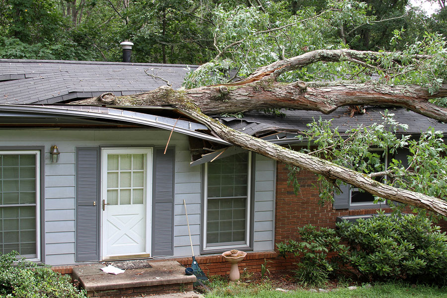 roof repairs